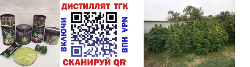 Canna-Cookies марихуана  магазин продажи   Кукмор 