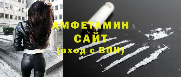 индика Приозерск