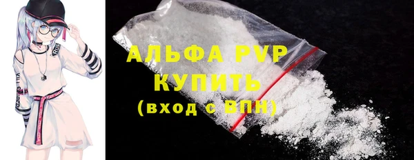 хмурый Белокуриха