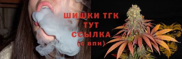 хмурый Белокуриха