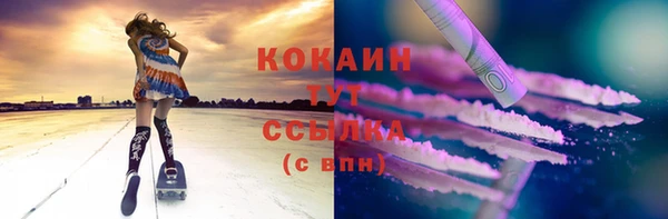 хмурый Белокуриха