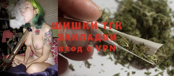 хмурый Белокуриха